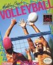Malibu Beach Volleyball Nintendo Game Boy