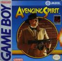 Avenging Spirit Nintendo Game Boy