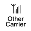 Other Carriers