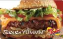 Red Robin Gift Card