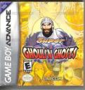 Super Ghouls N Ghosts Nintendo Game Boy Advance
