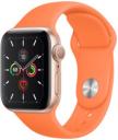 Apple Watch Series 5 40mm Gold Aluminum Case with Sport Band GPS Only