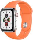 Apple Watch Series 5 40mm Stainless Steel Case with Sport Band GPS Cellular