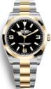 Rolex Explorer 36mm Oystersteel and Yellow Gold 124273
